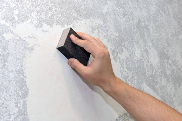 Best Comprehensive Air Testing for Mold Contaminants  in Lincroft, NJ