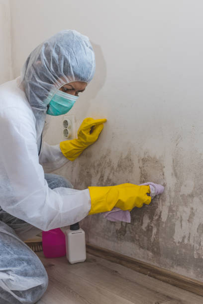 Best Indoor Air Quality Assessment  in Lincroft, NJ