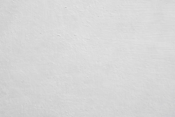 Best Mold Damage Restoration  in Lincroft, NJ