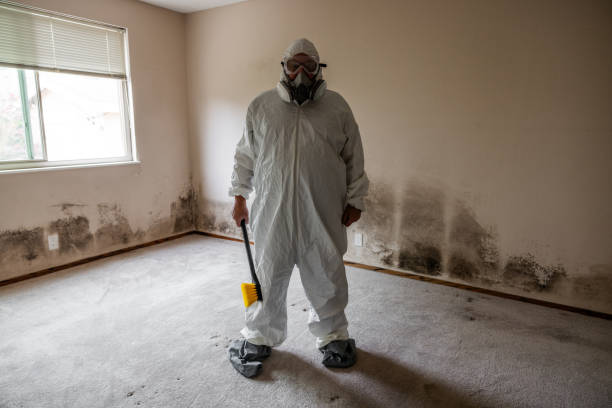Best Mold Removal for HVAC Installations  in Lincroft, NJ