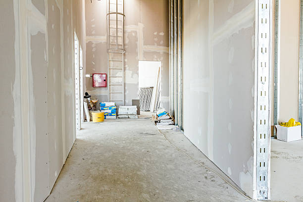 Best Air Quality Testing for Mold Spores  in Lincroft, NJ