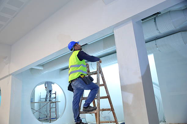 Best Environmental Consulting for Mold Prevention  in Lincroft, NJ